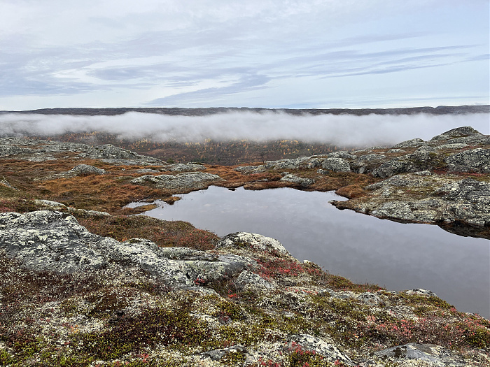 Klicke auf die Grafik für eine vergrößerte Ansicht  Name: 20230-09 Varanger - 004169.jpg Ansichten: 0 Größe: 5,02 MB ID: 3263113