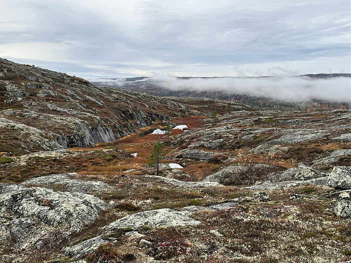 Klicke auf die Grafik für eine vergrößerte Ansicht  Name: 20230-09 Varanger - 004174.jpg Ansichten: 0 Größe: 4,75 MB ID: 3263115