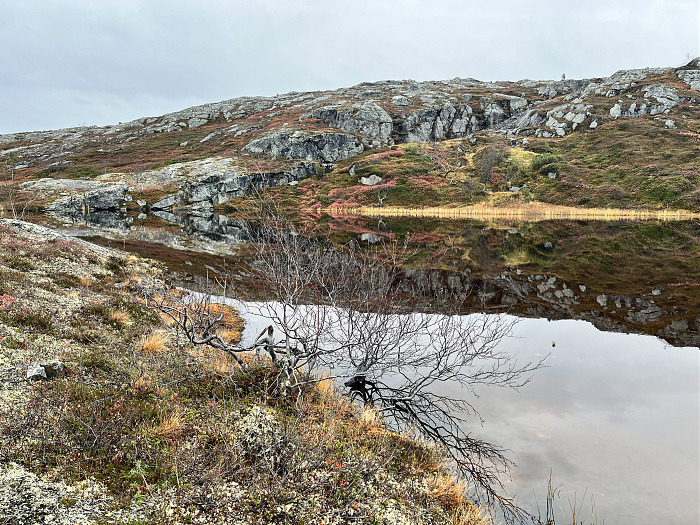 Klicke auf die Grafik für eine vergrößerte Ansicht  Name: 20230-09 Varanger - 004179.jpg Ansichten: 0 Größe: 6,05 MB ID: 3263117
