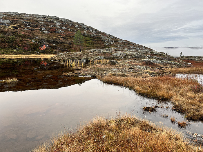 Klicke auf die Grafik für eine vergrößerte Ansicht  Name: 20230-09 Varanger - 004177.jpg Ansichten: 0 Größe: 4,94 MB ID: 3263118