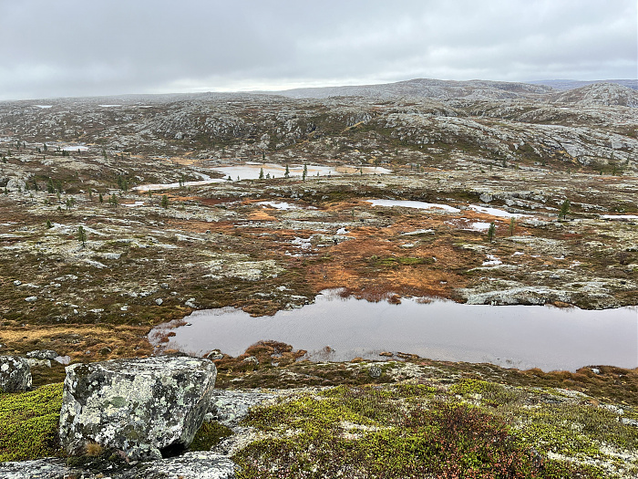 Klicke auf die Grafik für eine vergrößerte Ansicht  Name: 20230-09 Varanger - 004205.jpg Ansichten: 0 Größe: 5,93 MB ID: 3263197