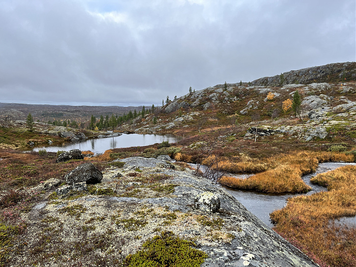 Klicke auf die Grafik für eine vergrößerte Ansicht  Name: 20230-09 Varanger - 004220.jpg Ansichten: 0 Größe: 5,41 MB ID: 3263198