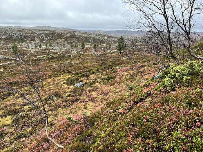 Klicke auf die Grafik für eine vergrößerte Ansicht  Name: 20230-09 Varanger - 004207.jpg Ansichten: 0 Größe: 8,01 MB ID: 3263202