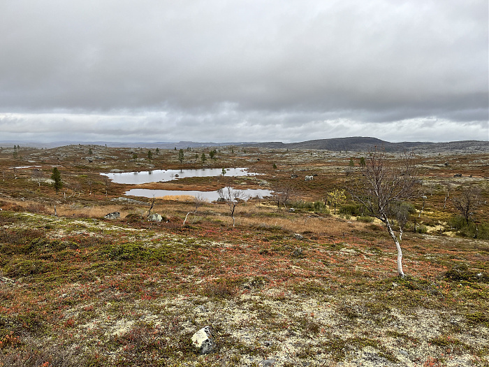 Klicke auf die Grafik für eine vergrößerte Ansicht  Name: 20230-09 Varanger - 004248.jpg Ansichten: 0 Größe: 5,45 MB ID: 3263211