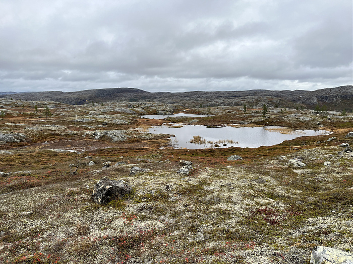 Klicke auf die Grafik für eine vergrößerte Ansicht  Name: 20230-09 Varanger - 004247.jpg Ansichten: 0 Größe: 5,51 MB ID: 3263212