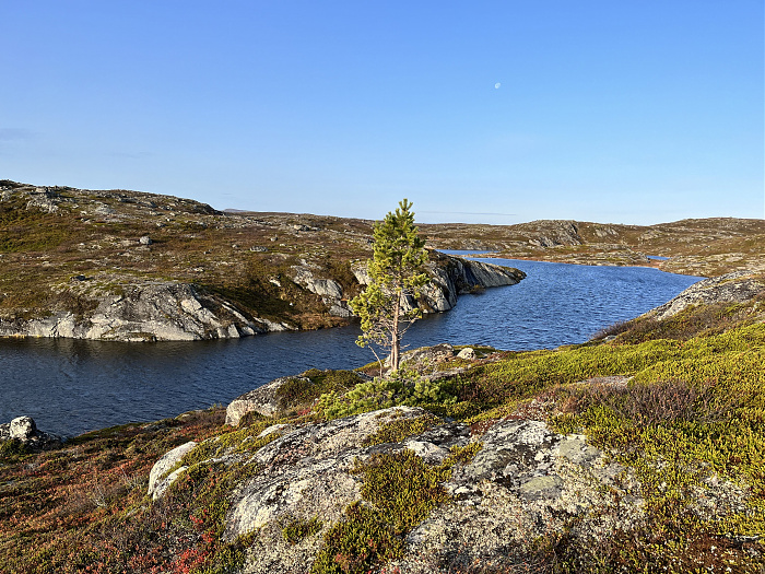 Klicke auf die Grafik für eine vergrößerte Ansicht  Name: 20230-09 Varanger - 004293.jpg Ansichten: 0 Größe: 5,71 MB ID: 3263310