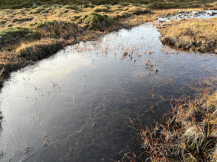 Klicke auf die Grafik für eine vergrößerte Ansicht  Name: 20230-09 Varanger - 004304.jpg Ansichten: 0 Größe: 6,41 MB ID: 3263311