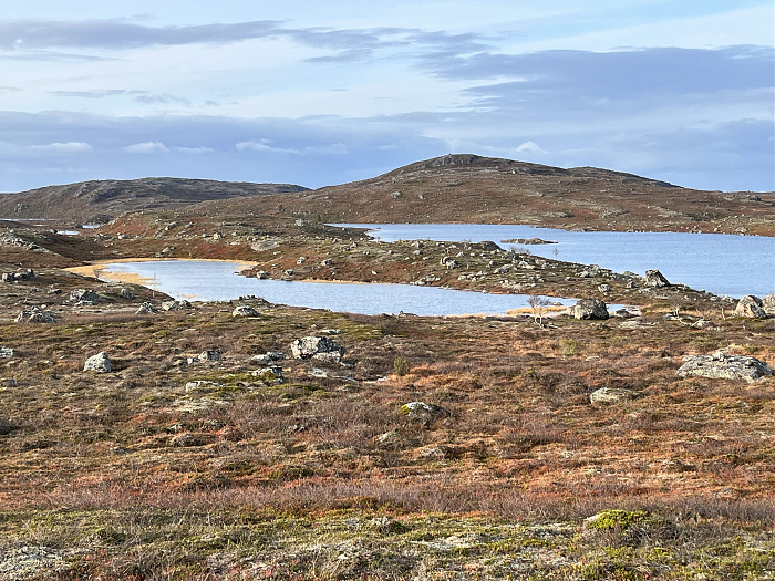 Klicke auf die Grafik für eine vergrößerte Ansicht  Name: 20230-09 Varanger - 004354.jpg Ansichten: 0 Größe: 4,06 MB ID: 3263316