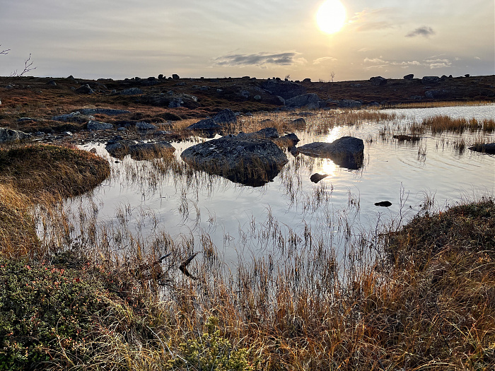 Klicke auf die Grafik für eine vergrößerte Ansicht  Name: 20230-09 Varanger - 004358.jpg Ansichten: 0 Größe: 5,98 MB ID: 3263317