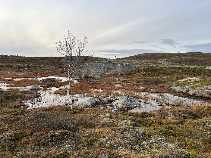 Klicke auf die Grafik für eine vergrößerte Ansicht  Name: 20230-09 Varanger - 004378.jpg Ansichten: 0 Größe: 5,57 MB ID: 3263318