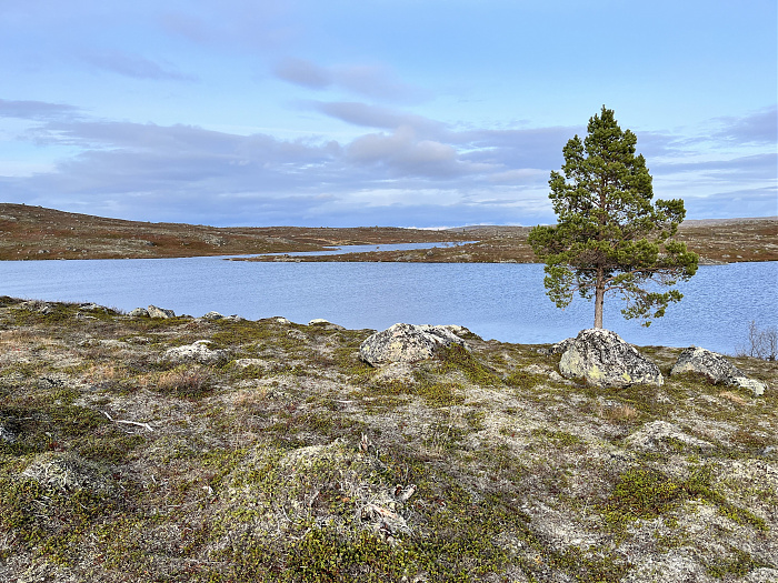 Klicke auf die Grafik für eine vergrößerte Ansicht  Name: 20230-09 Varanger - 004364.jpg Ansichten: 0 Größe: 5,57 MB ID: 3263320