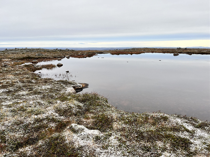 Klicke auf die Grafik für eine vergrößerte Ansicht  Name: 20230-09 Varanger - 004410.jpg Ansichten: 0 Größe: 4,80 MB ID: 3263397