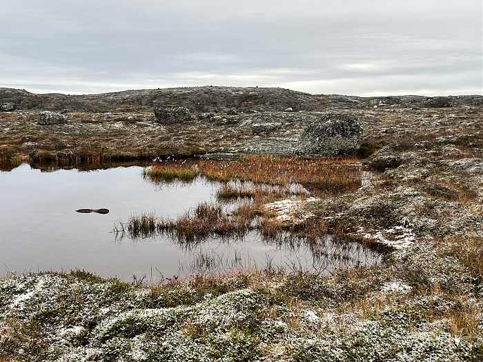 Klicke auf die Grafik für eine vergrößerte Ansicht  Name: 20230-09 Varanger - 004412.jpg Ansichten: 0 Größe: 4,80 MB ID: 3263403