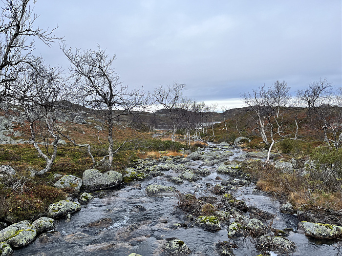 Klicke auf die Grafik für eine vergrößerte Ansicht  Name: 20230-09 Varanger - 004435.jpg Ansichten: 0 Größe: 5,76 MB ID: 3263405
