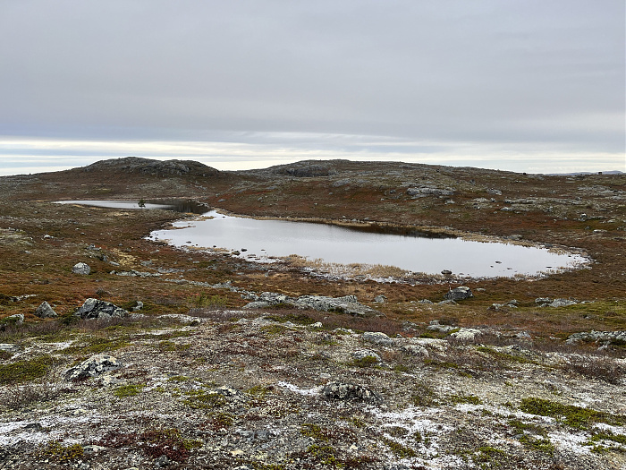 Klicke auf die Grafik für eine vergrößerte Ansicht  Name: 20230-09 Varanger - 004430.jpg Ansichten: 0 Größe: 4,95 MB ID: 3263407