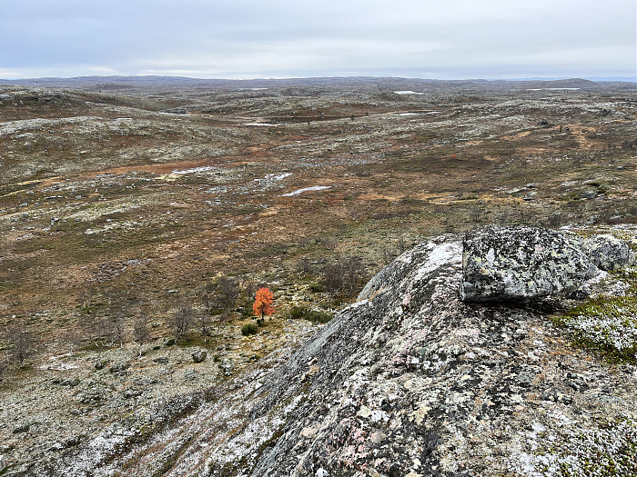 Klicke auf die Grafik für eine vergrößerte Ansicht  Name: 20230-09 Varanger - 004425.jpg Ansichten: 0 Größe: 6,66 MB ID: 3263408