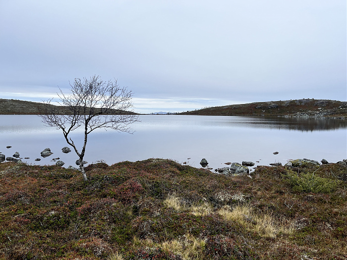 Klicke auf die Grafik für eine vergrößerte Ansicht  Name: 20230-09 Varanger - 004431.jpg Ansichten: 0 Größe: 4,35 MB ID: 3263409