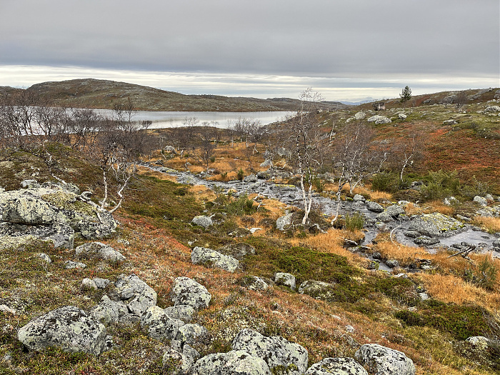 Klicke auf die Grafik für eine vergrößerte Ansicht  Name: 20230-09 Varanger - 004433.jpg Ansichten: 0 Größe: 6,48 MB ID: 3263410