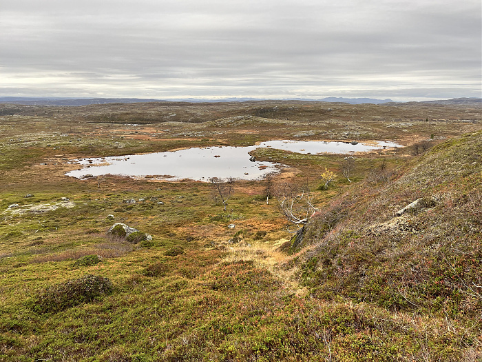 Klicke auf die Grafik für eine vergrößerte Ansicht  Name: 20230-09 Varanger - 004442.jpg Ansichten: 0 Größe: 5,79 MB ID: 3263413