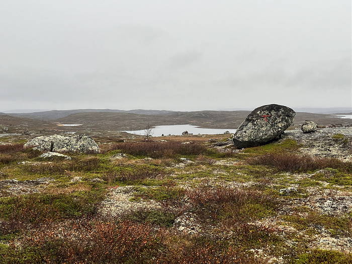 Klicke auf die Grafik für eine vergrößerte Ansicht  Name: 20230-09 Varanger - 004473.jpg Ansichten: 0 Größe: 4,04 MB ID: 3263472