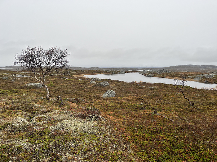 Klicke auf die Grafik für eine vergrößerte Ansicht  Name: 20230-09 Varanger - 004474.jpg Ansichten: 0 Größe: 5,22 MB ID: 3263478