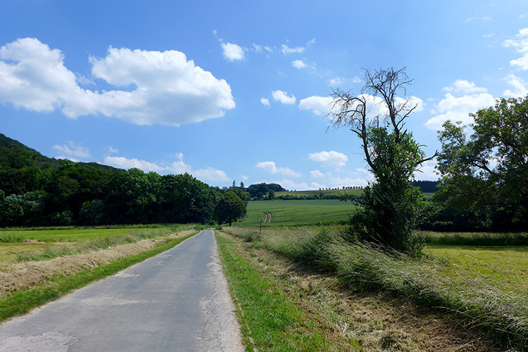 Klicke auf die Grafik für eine vergrößerte Ansicht  Name: Weserberglandweg_376.jpg Ansichten: 0 Größe: 162,7 KB ID: 3263507