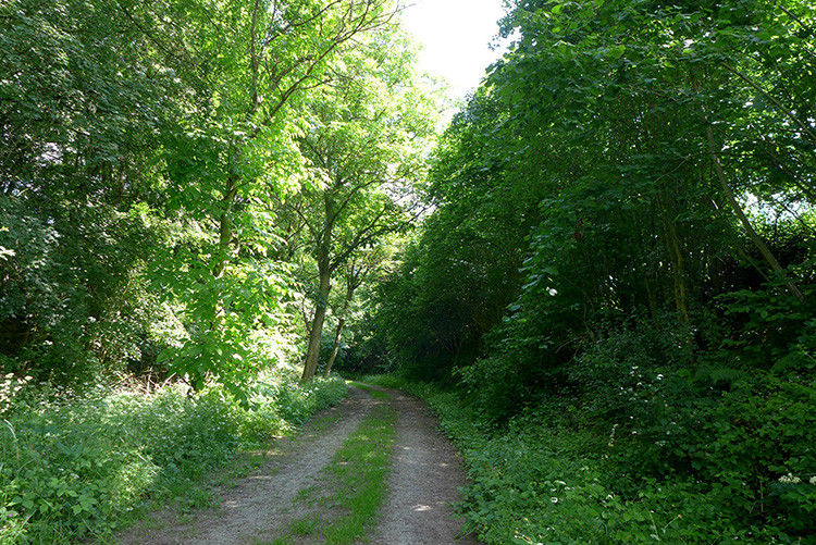 Klicke auf die Grafik für eine vergrößerte Ansicht  Name: Weserberglandweg_379.jpg Ansichten: 0 Größe: 300,0 KB ID: 3263510