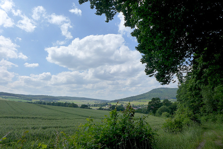 Klicke auf die Grafik für eine vergrößerte Ansicht  Name: Weserberglandweg_380.jpg Ansichten: 0 Größe: 166,3 KB ID: 3263511