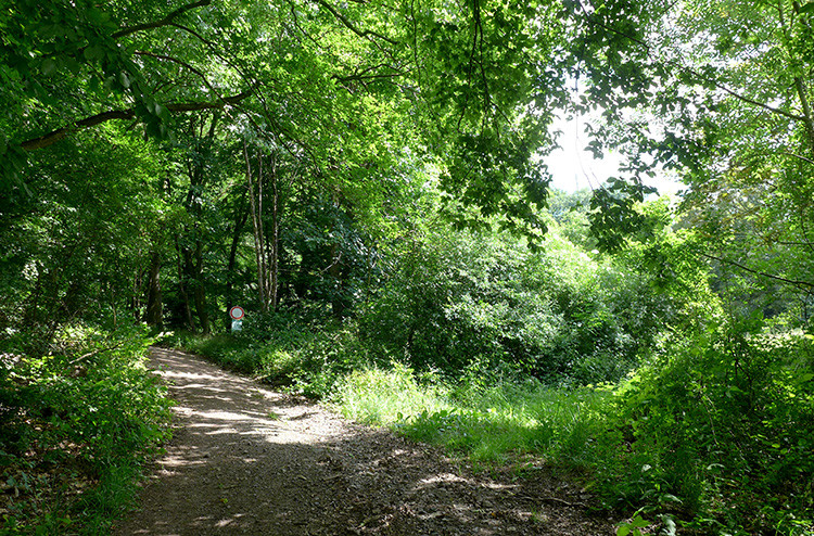 Klicke auf die Grafik für eine vergrößerte Ansicht  Name: Weserberglandweg_381.jpg Ansichten: 0 Größe: 338,2 KB ID: 3263512