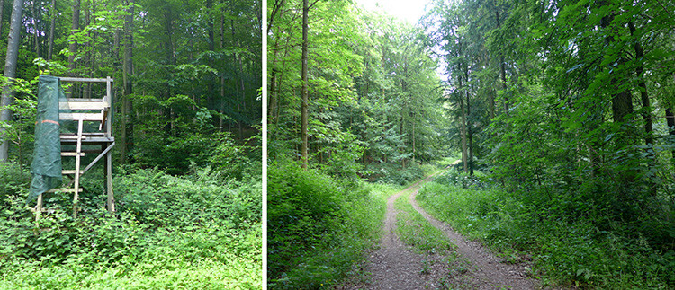 Klicke auf die Grafik für eine vergrößerte Ansicht  Name: Weserberglandweg_386.jpg Ansichten: 0 Größe: 207,1 KB ID: 3263515