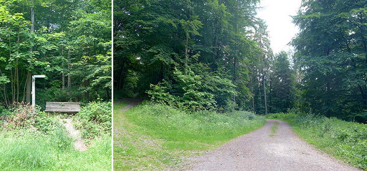 Klicke auf die Grafik für eine vergrößerte Ansicht  Name: Weserberglandweg_385.jpg Ansichten: 0 Größe: 188,0 KB ID: 3263516