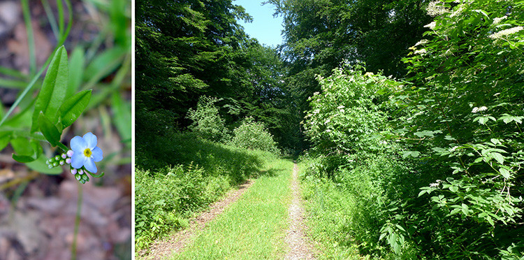 Klicke auf die Grafik für eine vergrößerte Ansicht  Name: Weserberglandweg_387.jpg Ansichten: 0 Größe: 208,8 KB ID: 3263517