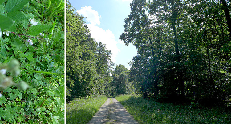Klicke auf die Grafik für eine vergrößerte Ansicht  Name: Weserberglandweg_390.jpg Ansichten: 0 Größe: 216,3 KB ID: 3263520