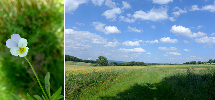 Klicke auf die Grafik für eine vergrößerte Ansicht  Name: Weserberglandweg_396.jpg Ansichten: 0 Größe: 102,0 KB ID: 3263524