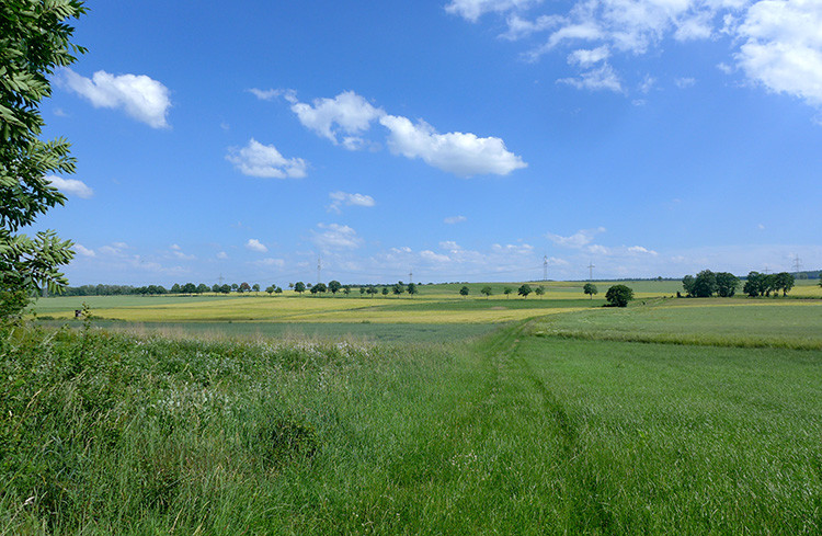 Klicke auf die Grafik für eine vergrößerte Ansicht  Name: Weserberglandweg_394.jpg Ansichten: 0 Größe: 168,6 KB ID: 3263525