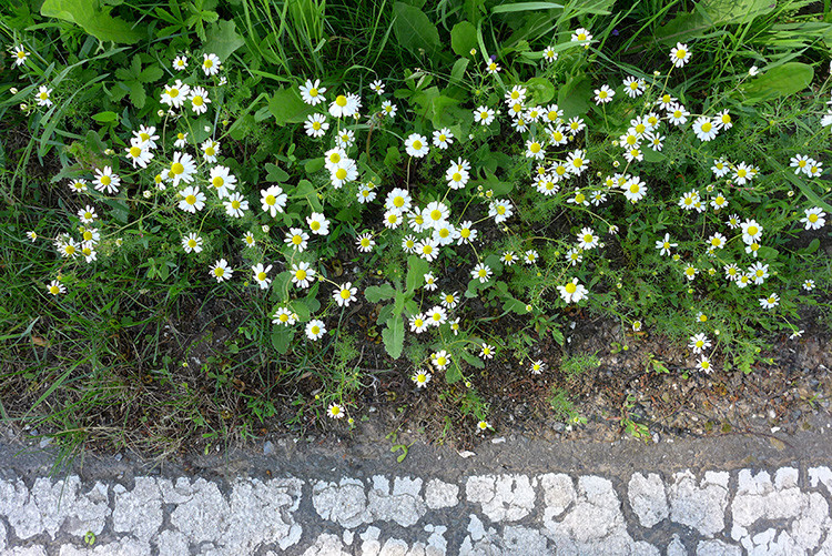 Klicke auf die Grafik für eine vergrößerte Ansicht  Name: Weserberglandweg_399.jpg Ansichten: 0 Größe: 319,3 KB ID: 3263527
