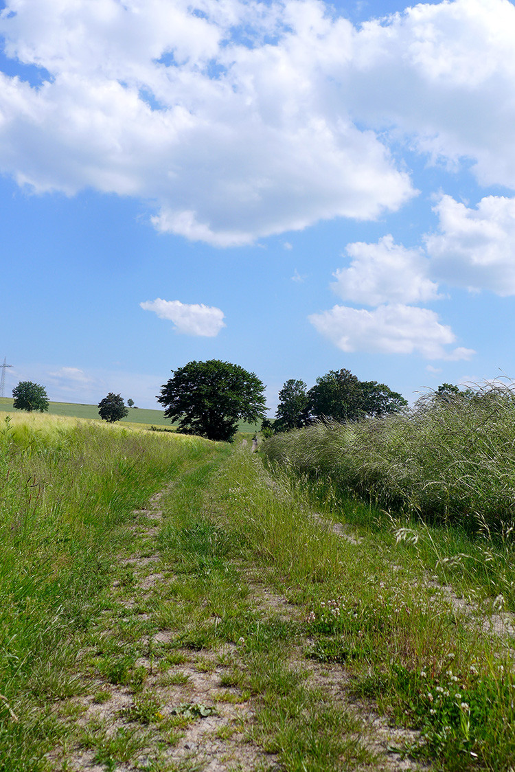 Klicke auf die Grafik für eine vergrößerte Ansicht  Name: Weserberglandweg_395.jpg Ansichten: 0 Größe: 394,6 KB ID: 3263528