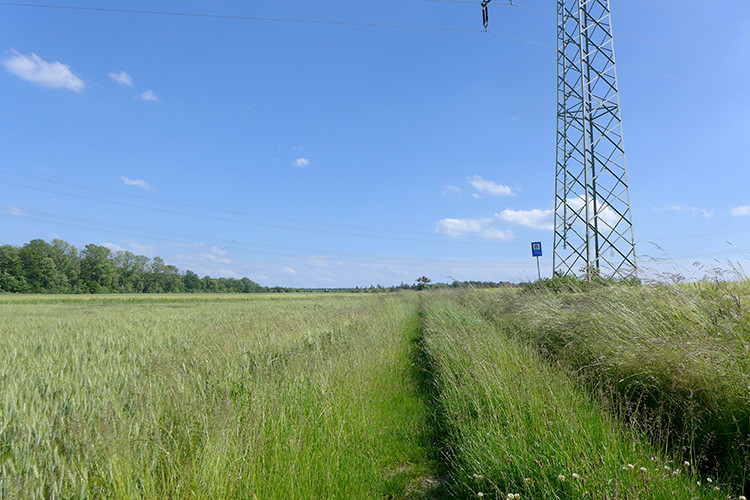 Klicke auf die Grafik für eine vergrößerte Ansicht  Name: Weserberglandweg_401.jpg Ansichten: 0 Größe: 167,1 KB ID: 3263529