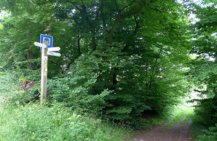 Klicke auf die Grafik für eine vergrößerte Ansicht  Name: Weserberglandweg_393.jpg Ansichten: 0 Größe: 313,7 KB ID: 3263530