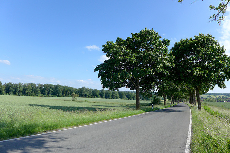 Klicke auf die Grafik für eine vergrößerte Ansicht  Name: Weserberglandweg_402.jpg Ansichten: 0 Größe: 161,9 KB ID: 3263531