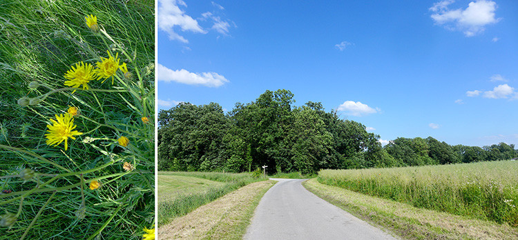 Klicke auf die Grafik für eine vergrößerte Ansicht  Name: Weserberglandweg_403.jpg Ansichten: 0 Größe: 156,7 KB ID: 3263537