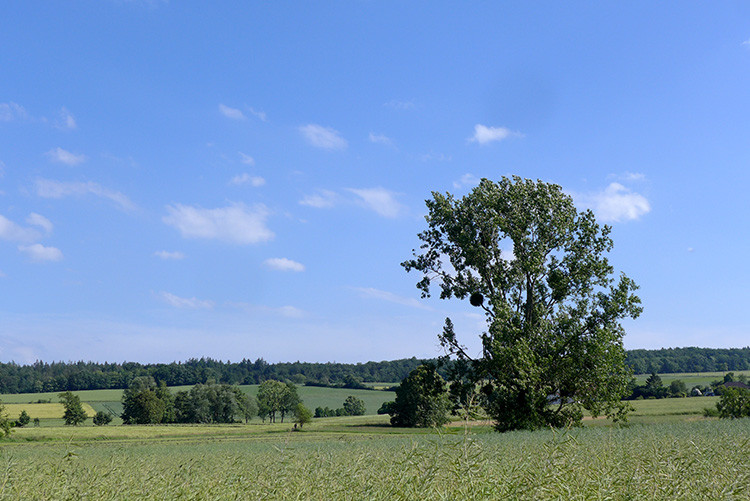 Klicke auf die Grafik für eine vergrößerte Ansicht  Name: Weserberglandweg_405.jpg Ansichten: 0 Größe: 130,1 KB ID: 3263539