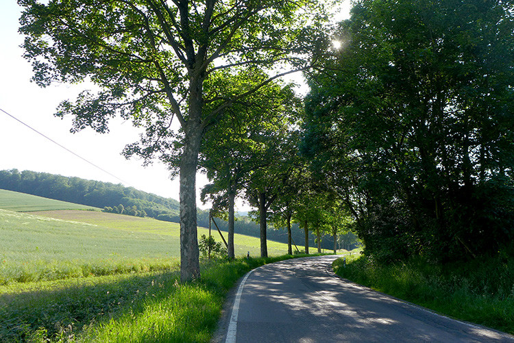 Klicke auf die Grafik für eine vergrößerte Ansicht  Name: Weserberglandweg_411.jpg Ansichten: 0 Größe: 254,4 KB ID: 3263542