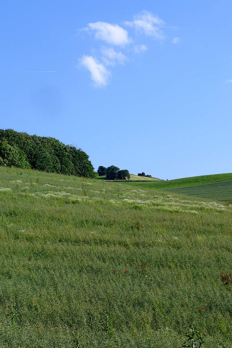 Klicke auf die Grafik für eine vergrößerte Ansicht  Name: Weserberglandweg_412.jpg Ansichten: 0 Größe: 406,6 KB ID: 3263550