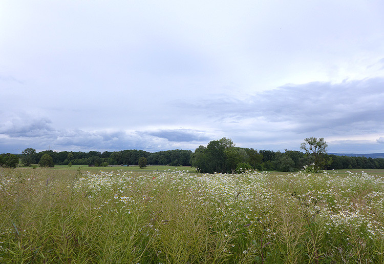 Klicke auf die Grafik für eine vergrößerte Ansicht  Name: Weserberglandweg_422.jpg Ansichten: 0 Größe: 150,2 KB ID: 3264801