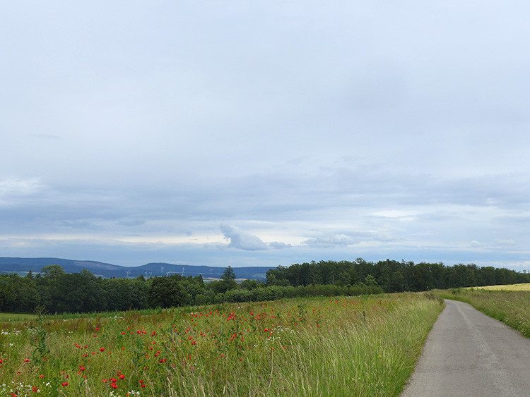Klicke auf die Grafik für eine vergrößerte Ansicht  Name: Weserberglandweg_423.jpg Ansichten: 0 Größe: 114,8 KB ID: 3264803