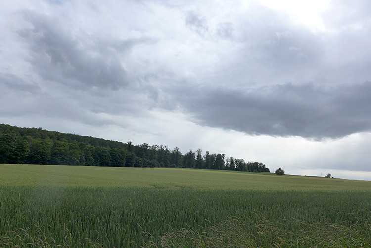 Klicke auf die Grafik für eine vergrößerte Ansicht  Name: Weserberglandweg_426.jpg Ansichten: 0 Größe: 95,5 KB ID: 3264804