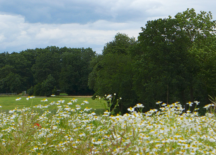 Klicke auf die Grafik für eine vergrößerte Ansicht  Name: Weserberglandweg_422a.jpg Ansichten: 0 Größe: 206,0 KB ID: 3264805