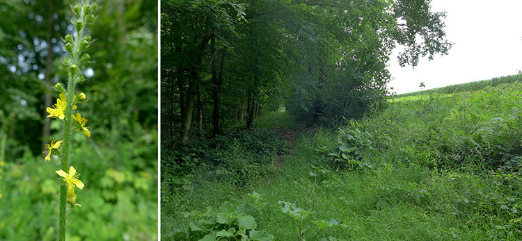 Klicke auf die Grafik für eine vergrößerte Ansicht  Name: Weserberglandweg_429.jpg Ansichten: 0 Größe: 147,7 KB ID: 3264807