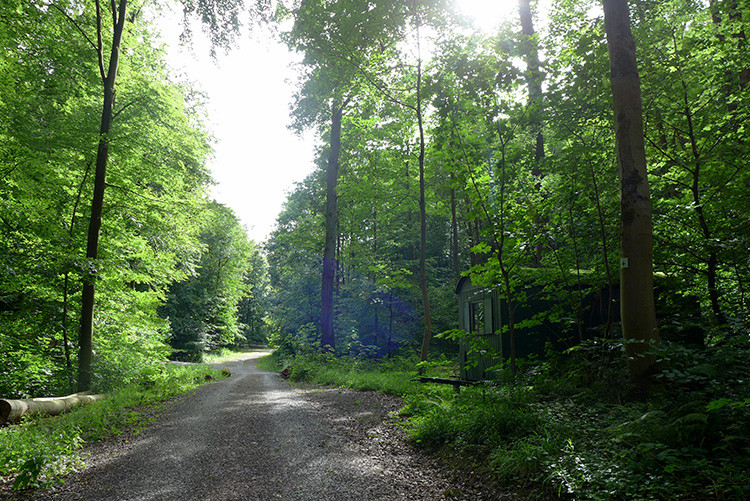 Klicke auf die Grafik für eine vergrößerte Ansicht  Name: Weserberglandweg_430.jpg Ansichten: 0 Größe: 268,8 KB ID: 3264810